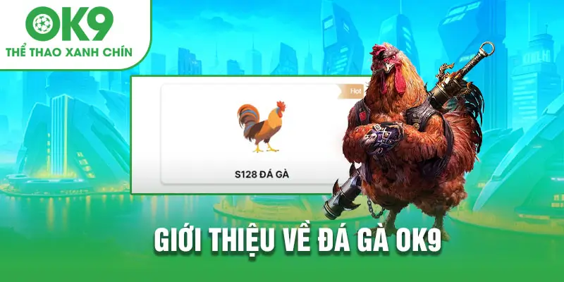 Giới thiệu về Đá Gà Tại OK9