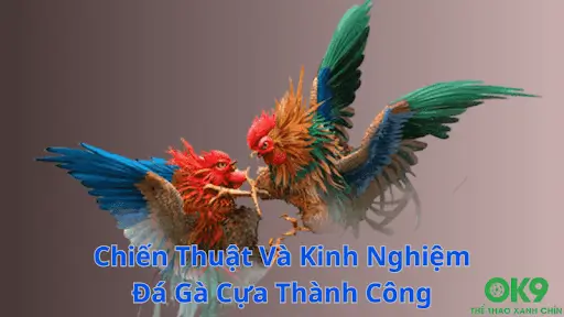 Chiến Thuật Thi Đấu Hiệu Quả