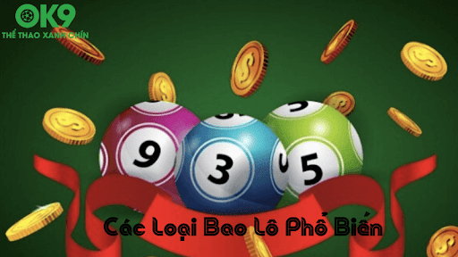 Các Loại Bao Lô Phổ Biến Số Xổ Tại Nhà OK9